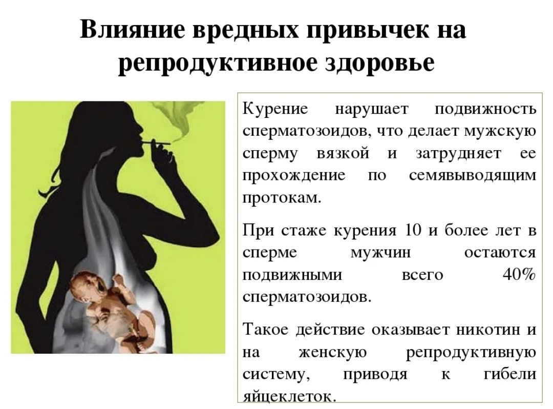 Красноярская краевая больница № 2 » Влияние курения на потомство