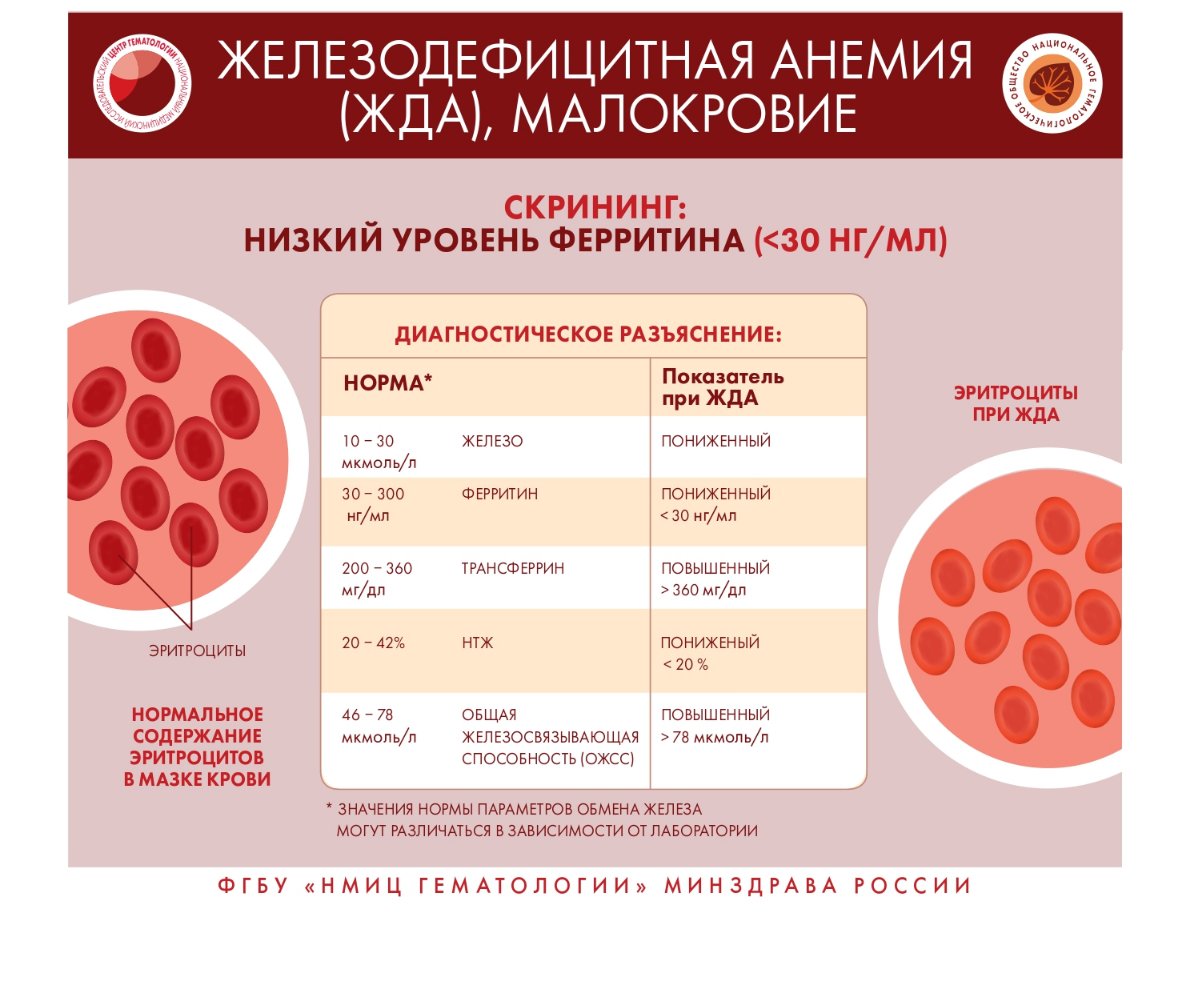 О заболеваниях системы крови page 0008