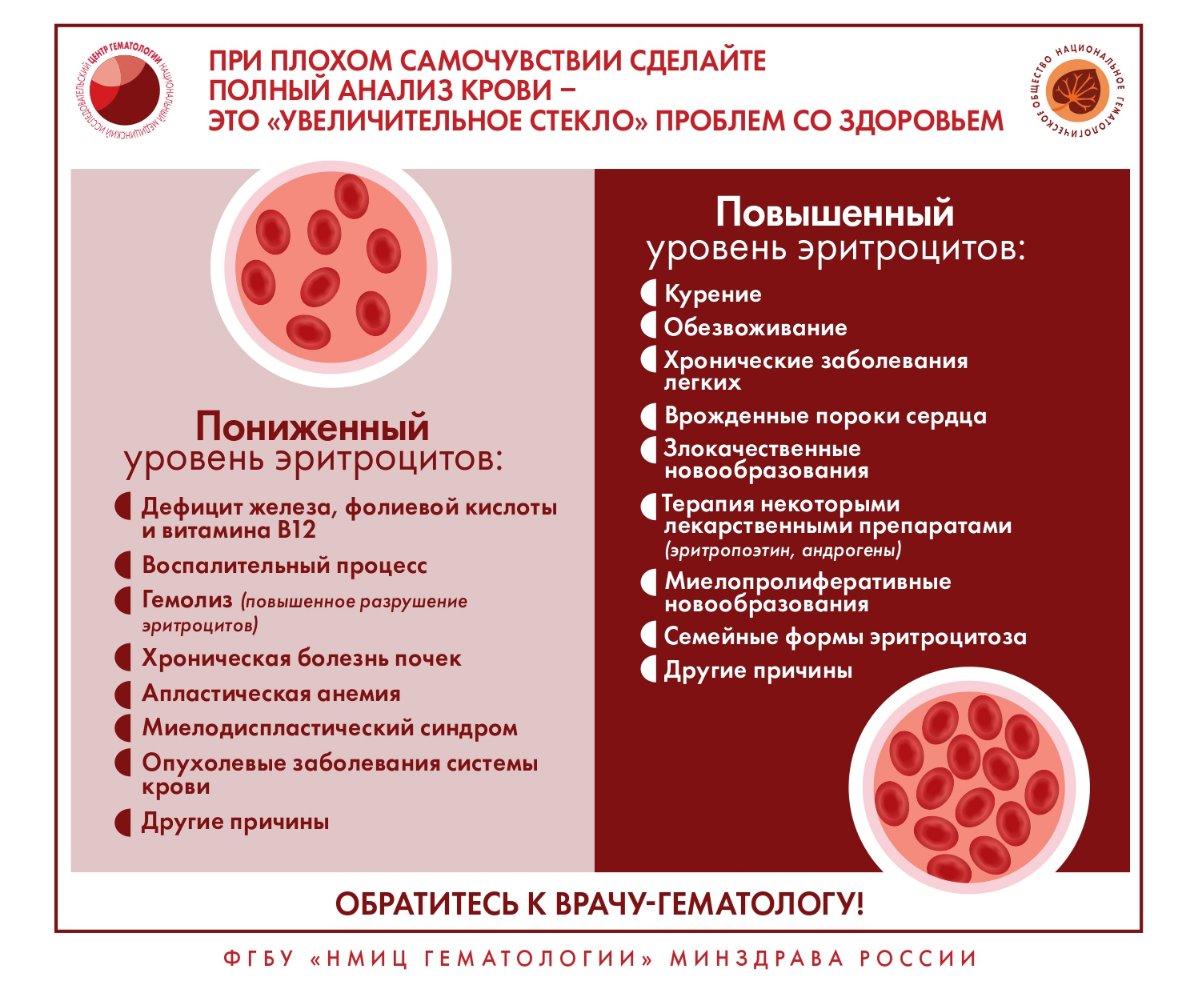 О заболеваниях системы крови page 0010